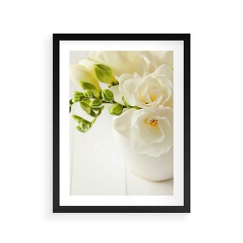 Plakat w ramie 30x40 - Subtelność białych frezji - frezja, białe - rama czarna