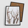 Plakat w ramie 50x70 - Pustynna Harmonia Gałęzi - pustynna roślina, suche gałęzie - rama czarna