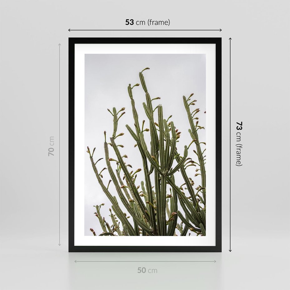 Plakat w ramie 50x70 - Ekskluzywna Roślinność - kaktusy, liście - rama czarna