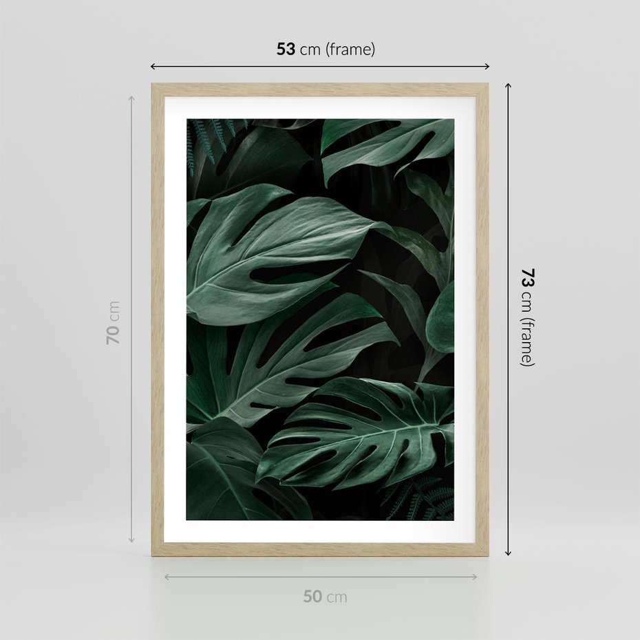 Plakat w ramie 50x70 - Zielone Liście Monstery w Dżungli - zielone liście monstery, dżungla - rama drewno