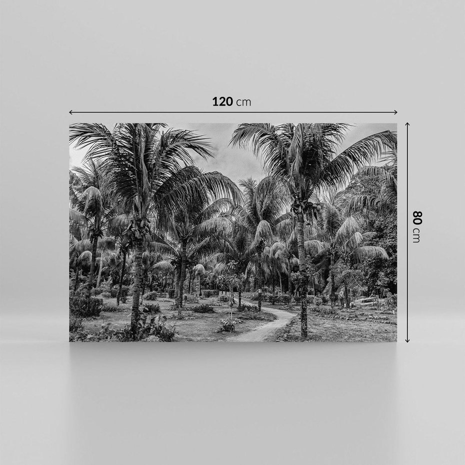 Obraz na płótnie 120x80 - Mroczna Ścieżka Tropików - czarno biała fotografia, ścieżka pośród palm