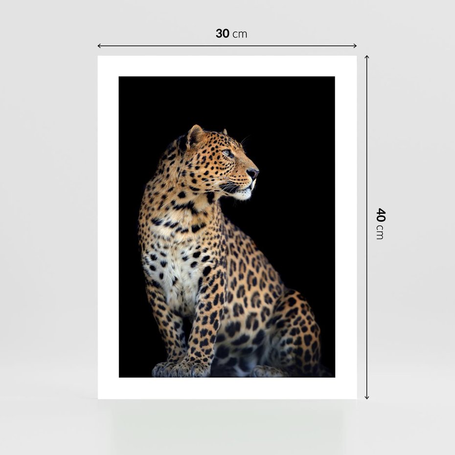 Plakat bez ramy 30x40 - Elegancja Jaguarowej Pantery - jaguar, pantera