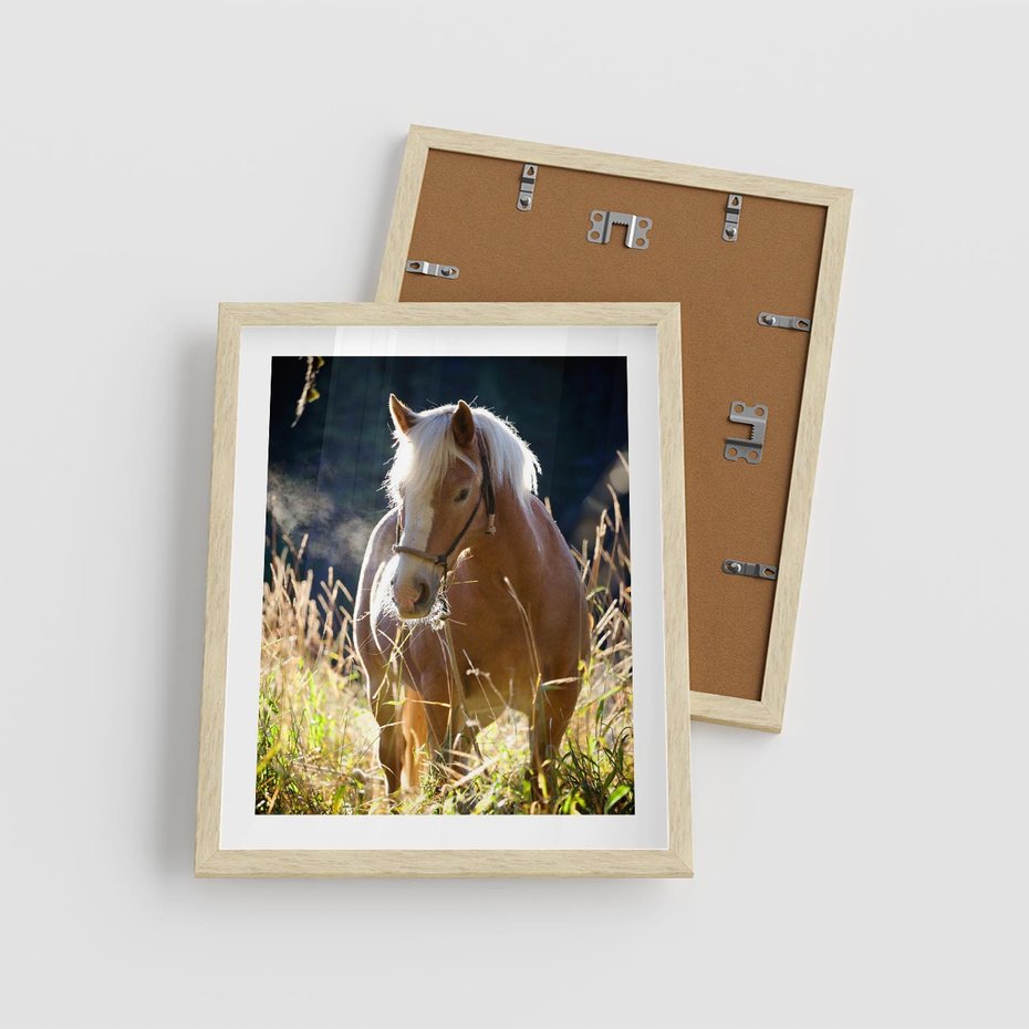 Plakat w ramie 40x50 - Spotkanie konia na łące - koń, łąka - rama drewno