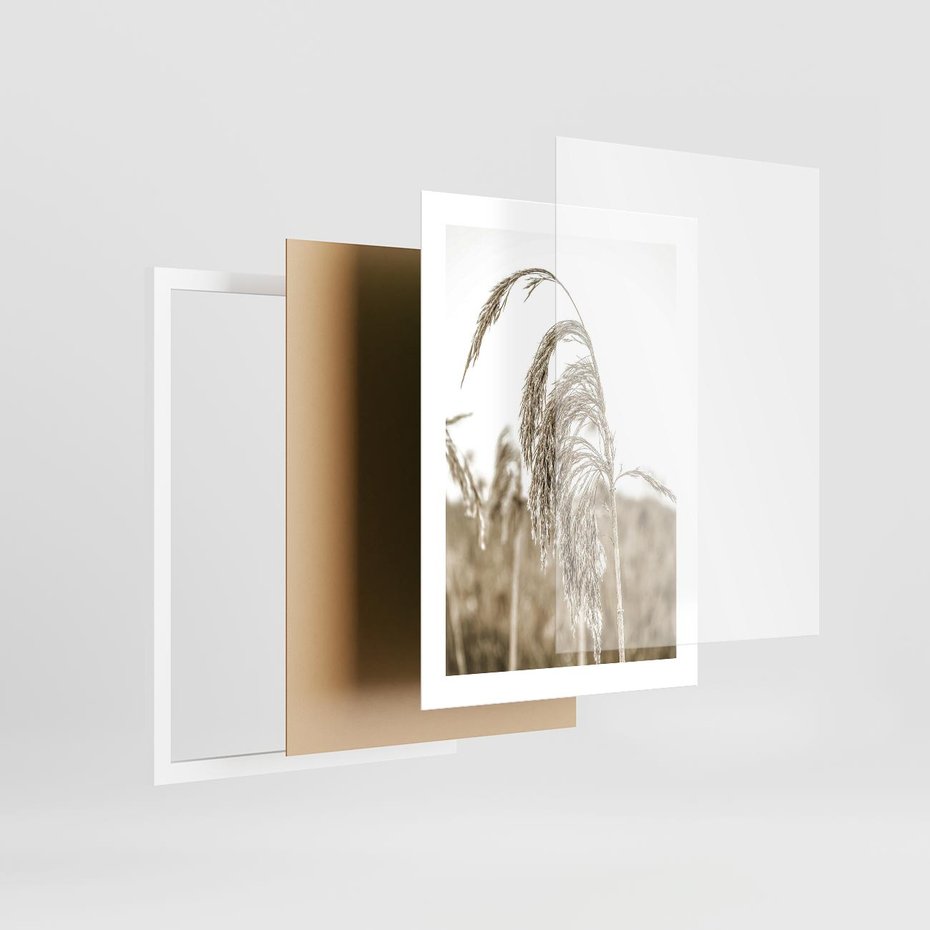 Plakat w ramie 30x40 - Ujęcie Suchych Traw - suche trawy, zbliżenie - rama biała