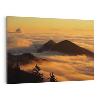 Obraz na płótnie 70x50 - Górzysty ukryty las - góry, las