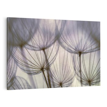 Obraz na płótnie 100x70 - Makro dmuchawiec - piękno drobnych detali - dmuchawce, makro