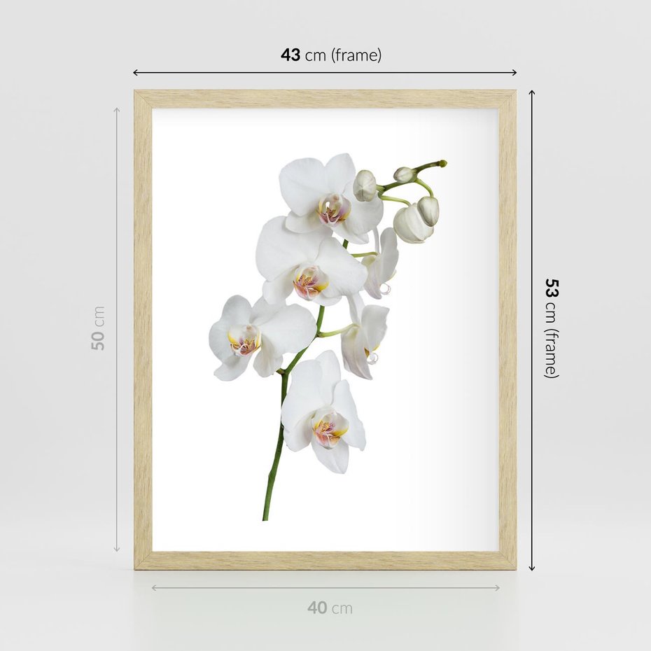 Plakat w ramie 40x50 - Ekskluzywny Relaks - storczyk, spa - rama drewno