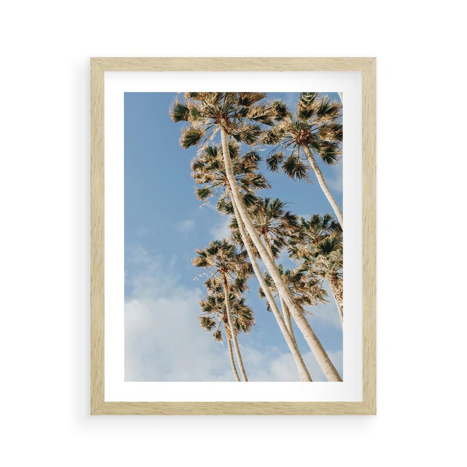 Plakat w ramie 40x50 - Pod Niebem Palmy - palmy na niebieskim niebie - rama drewno