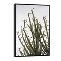 Obraz w ramie 70x100 - Ekskluzywna Roślinność - kaktusy, liście - rama czarna