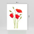 Plakat bez ramy 40x50 - Pola maków w pełnym kolorze - maki, kwiaty