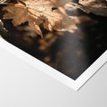 Plakat bez ramy 30x40 - Uroczy Liść na Drzewie - jesienny liść, żółty liść na drzewie