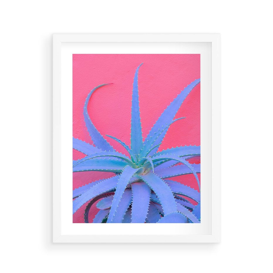 Plakat w ramie 40x50 - Piękno Pustyni - kaktusy, liście - rama biała