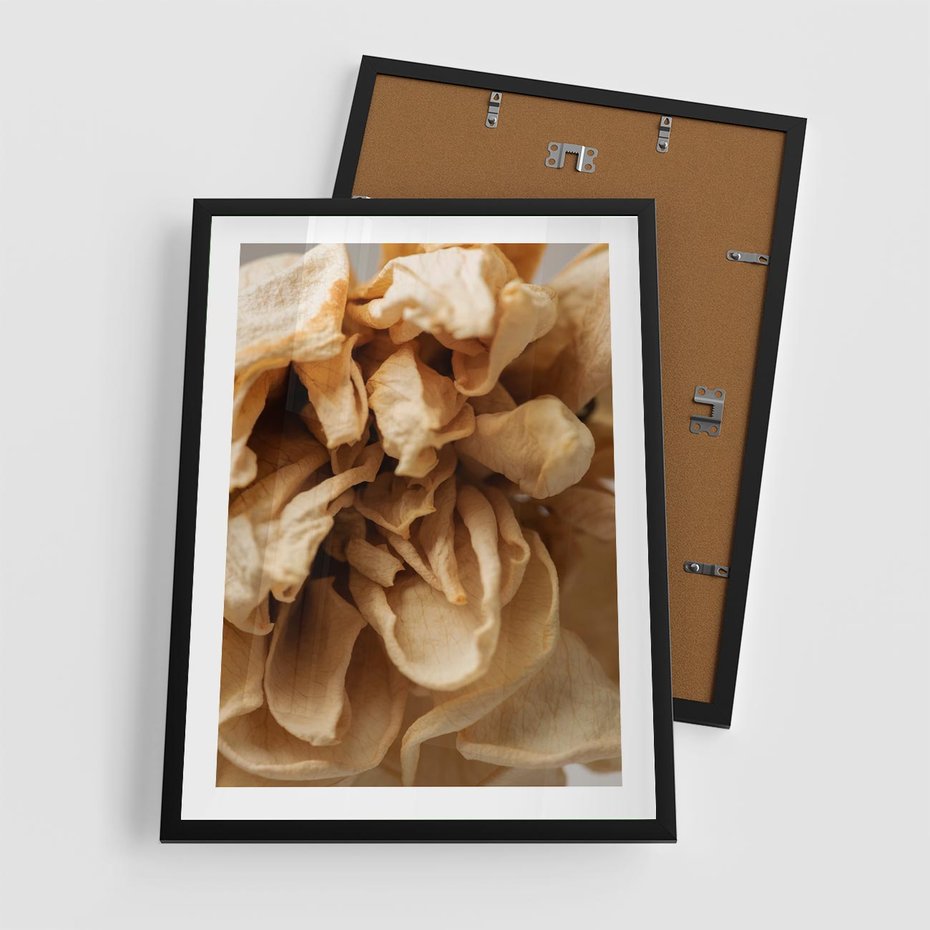 Plakat w ramie 50x70 - Zjawiskowe zasuszone kwiaty - zasuszone, kwiaty - rama czarna