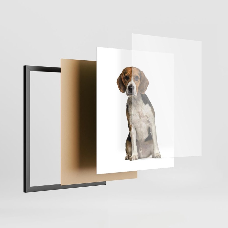 Plakat w ramie 40x50 - Wierność i radość - pies, piesek - rama czarna