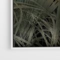 Obraz w ramie 80x120 - Światło w mroku duszy - liście traw, mroczny klimat - rama biała