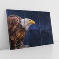 Obraz na płótnie 120x80 - Orzeł w niebieskiej przestrzeni - orzeł, ptak