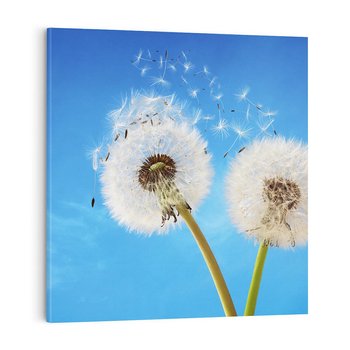 Obraz na płótnie 40x40 - wiatr pełen marzeń - dmuchawce, wiatr