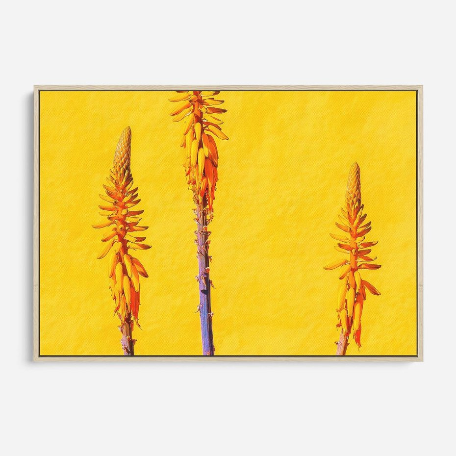 Obraz w ramie 70x50 - Radość Natury - kolor, kwiaty - rama drewno