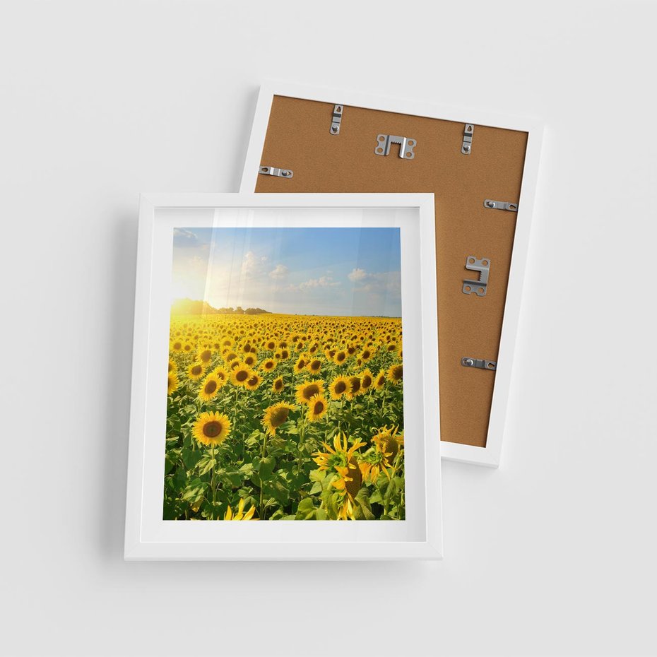 Plakat w ramie 40x50 - Idylla na łące słoneczników - łąka, słoneczniki - rama biała