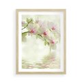 Plakat w ramie 50x70 - Orchidea w Spa - orchidea, kwiaty - rama drewno