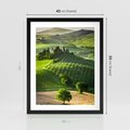 Plakat w ramie 40x50 - Prowansja: malownicze winnice w kraju Włoch - Prowansja, Włochy - rama czarna