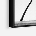 Obraz w ramie 70x100 - Samotne Palmy - czarno biała fotografia, dwie samotne palmy - rama czarna