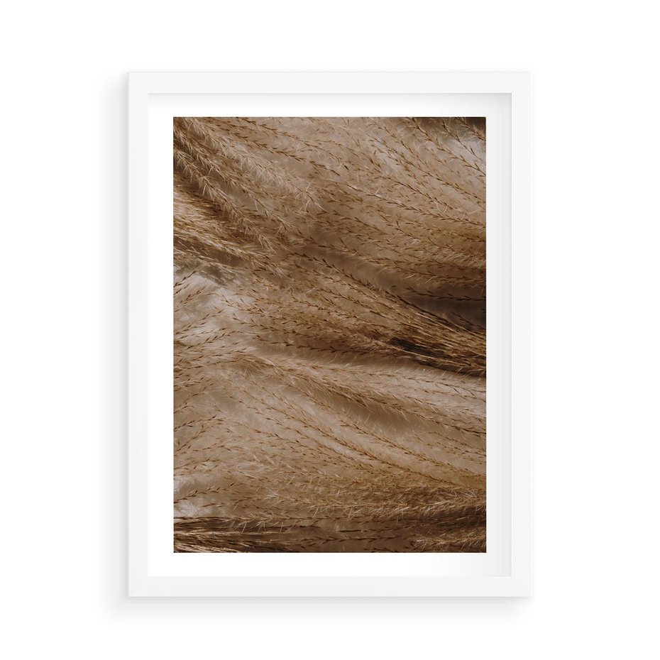 Plakat w ramie 50x70 - Pampasowy Brąz - suche trawy, trawa pampasowa - rama biała