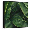 Obraz w ramie 50x50 - Zaklęta roślinna ekspresja - liście bananowca, gęsto ułożone - rama czarna