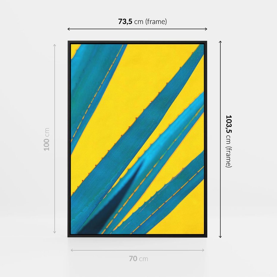 Obraz w ramie 70x100 - Świeżość Natury - aloes, liście - rama czarna