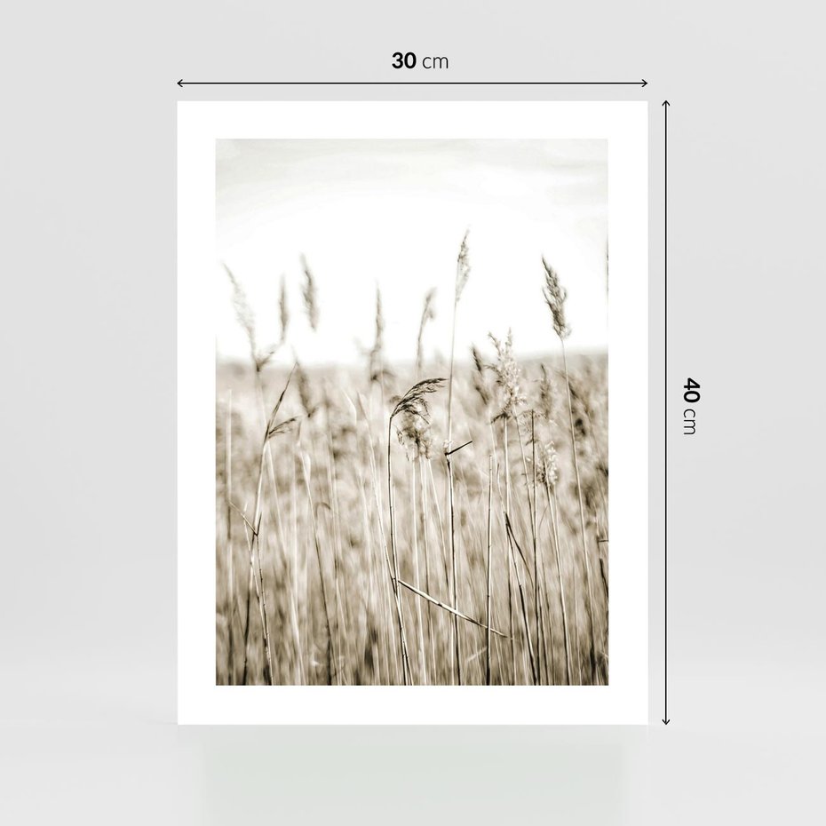 Plakat bez ramy 30x40 - Nostalgiczny Pejzaż - suche trawy, pole