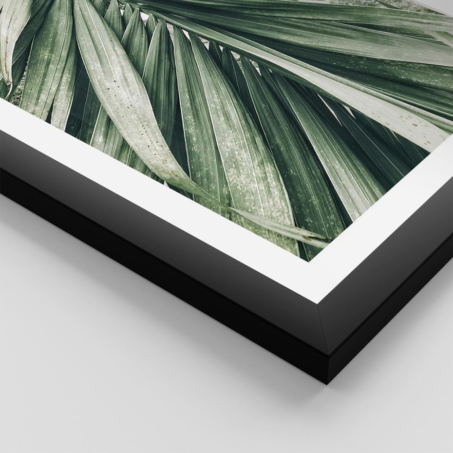 Plakat w ramie 30x40 - Spokojna Piękność Palmowych Liści - palma, liście palmy - rama czarna