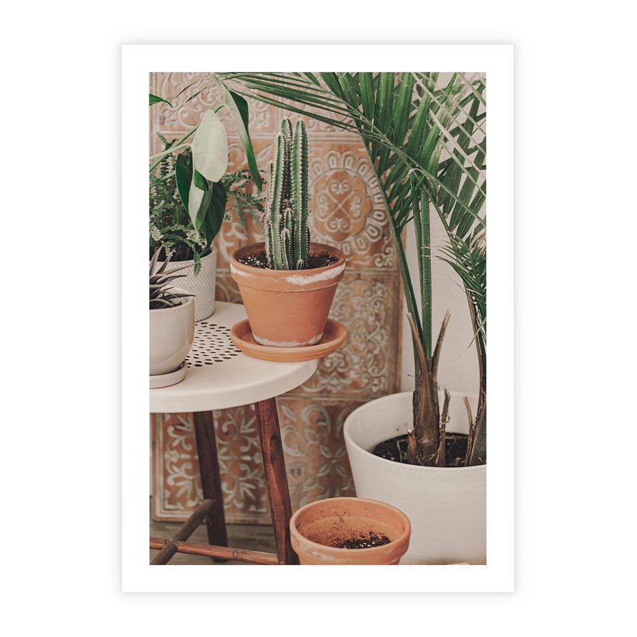 Plakat bez ramy 50x70 - Boho Oaza: Kaktusy w Doniczkach - rośliny kaktusy w doniczkach, boho wnętrze