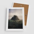 Plakat w ramie 50x70 - Zamglona Prostota - artystyczna fotografia, samotne drzewo na zamglonej łące - rama biała