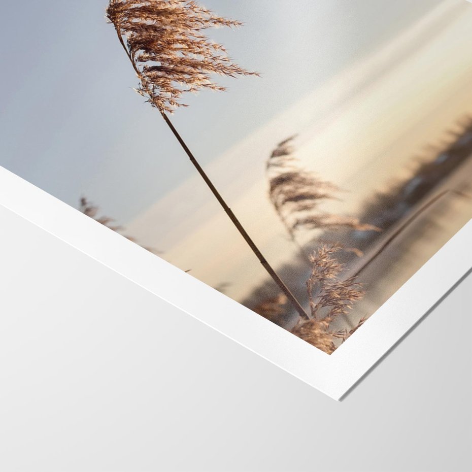 Plakat bez ramy 40x50 - Naturalna Delikatność - trawy, boho