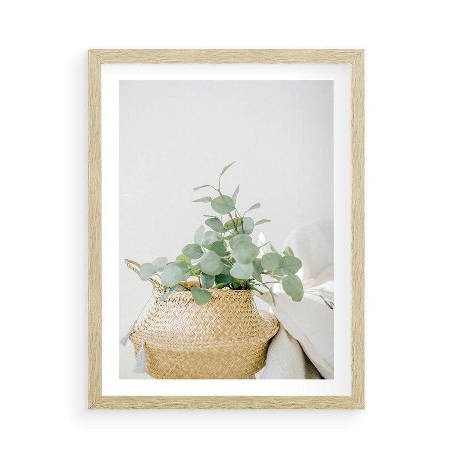 Plakat w ramie 50x70 - Eukaliptusowa Świeżość - eukaliptus, liście w koszu z wikliny - rama drewno