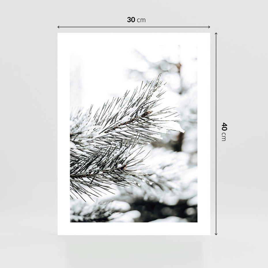Plakat bez ramy 30x40 - Chwila Zimowej Magii - iglasta gałązka, śnieg