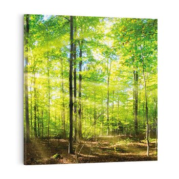 Obraz na płótnie 50x50 - Drzewa w harmonii - las, drzewa