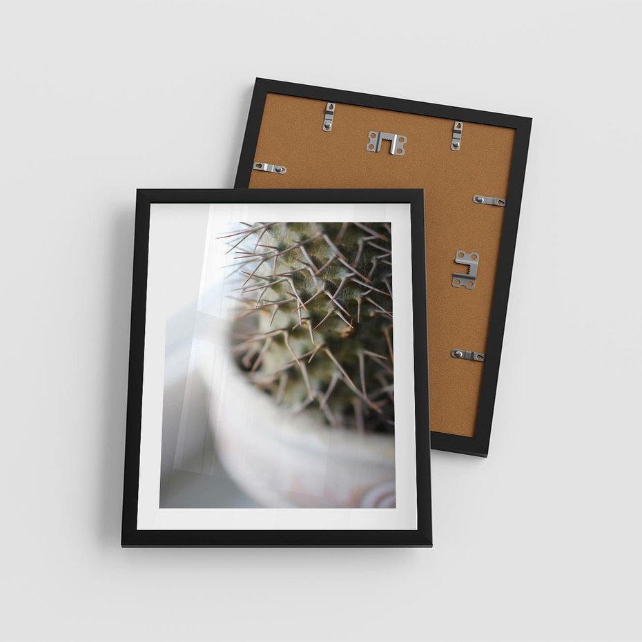 Plakat w ramie 40x50 - Kaktus w Zbliżeniu - kaktus, igły - rama czarna