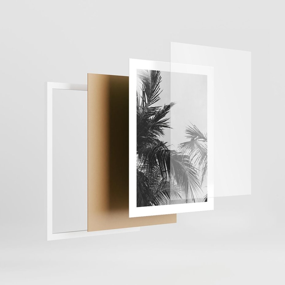Plakat w ramie 30x40 - Palmy w Monochromii - palmy, tropikalne palmy - rama biała