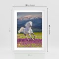 Plakat w ramie 30x40 - Koń Góry: Spotkanie z Wielką Przyrodą - koń, góry - rama biała