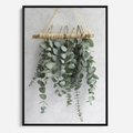 Obraz w ramie 70x100 - Uwodzicielska zieleń eukaliptusa - eukaliptus, zielone - rama czarna