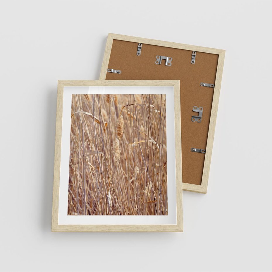 Plakat w ramie 40x50 - Mistrzowskie suche trawy - suche, trawy - rama drewno