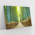 Obraz na płótnie 120x80 - Droga przez japoński bambusowy las - droga, japonia