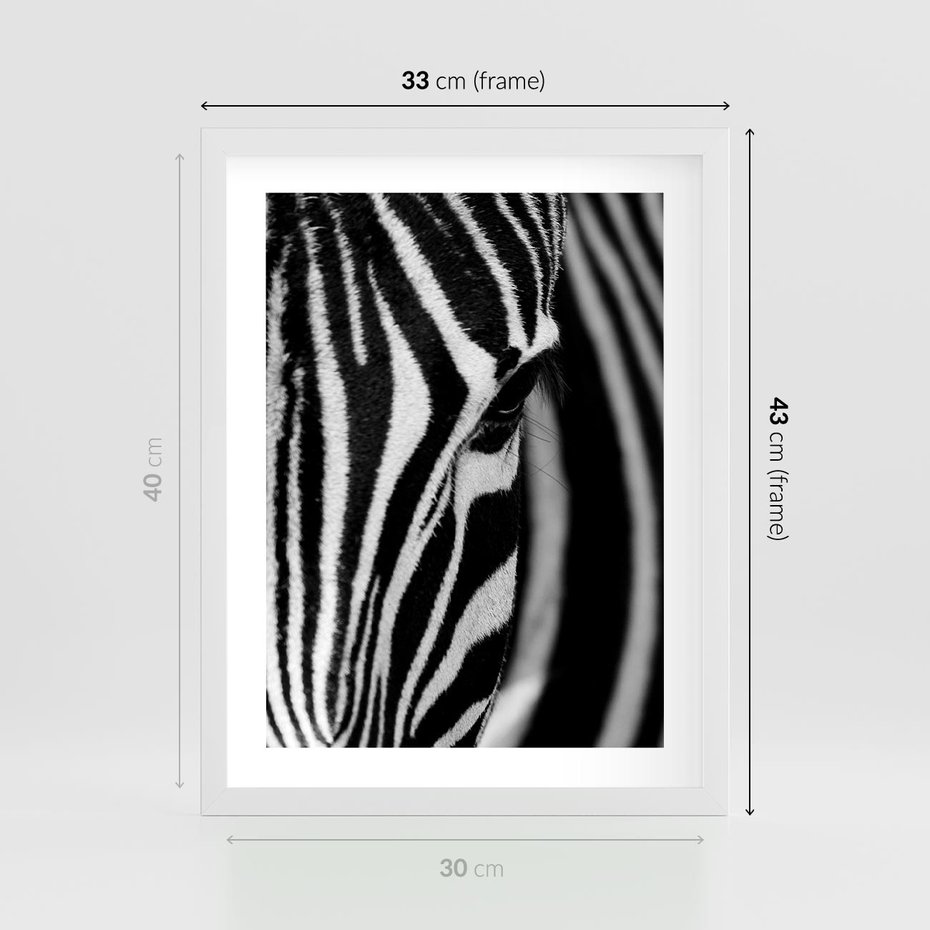 Plakat w ramie 30x40 - Pasy Zebr - zebra, paski - rama biała