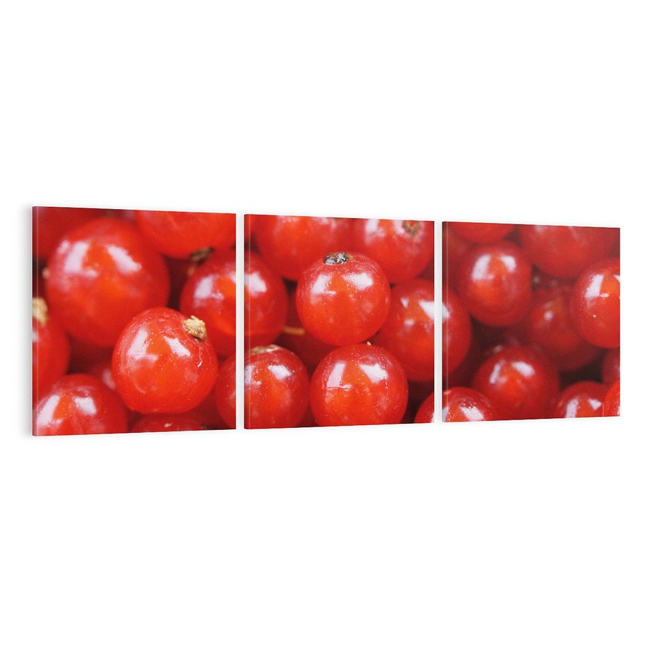 Obraz na płótnie 120x40 - Pożeczka - Czerwony Skarb - pożeczka, owoc