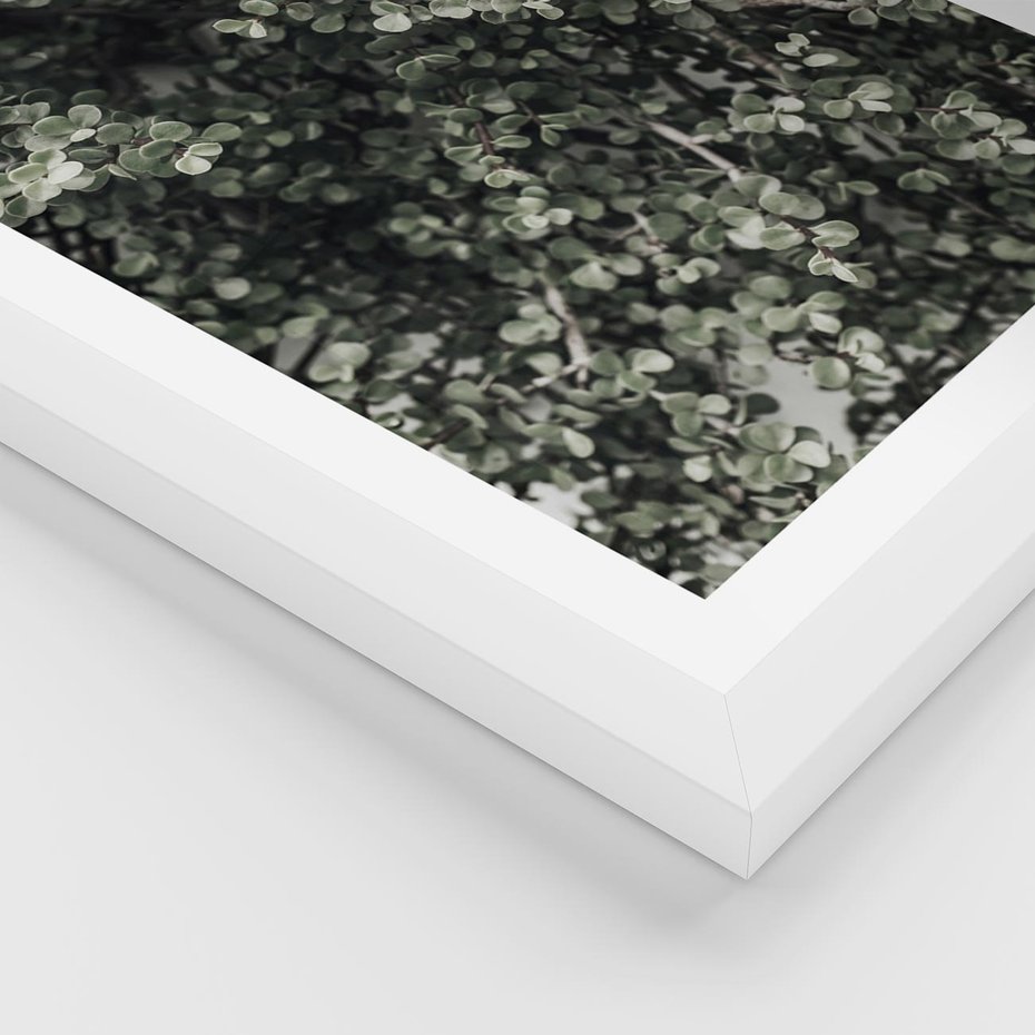 Plakat w ramie 50x70 - Jasnozielone Liście i Gałązki - liście, gałązki - rama biała