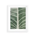Plakat w ramie 30x40 - Zielone Wielkości: Zbliżenie Liścia - zbliżenie duz liść, jasna zieleń - rama biała
