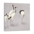 Obraz na płótnie 70x70 - Spojrzenie wstecz w pędzlu - szkic rysunek, japońskie żurawie