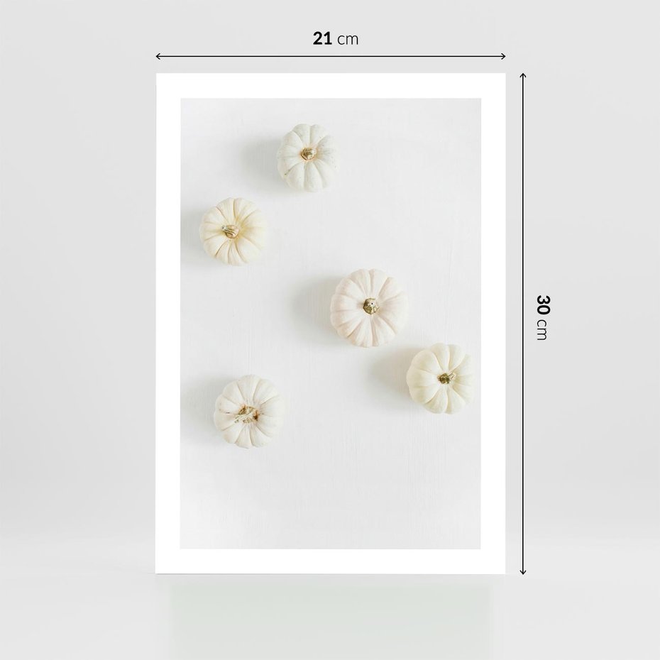 Plakat bez ramy 21x30 - Biała Jesień: Dynie na Jasnym Tle - białe dynie, białe tło