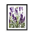 Plakat w ramie 40x50 - Fioletowa harmonia lawendy - lawenda, fiolet - rama czarna